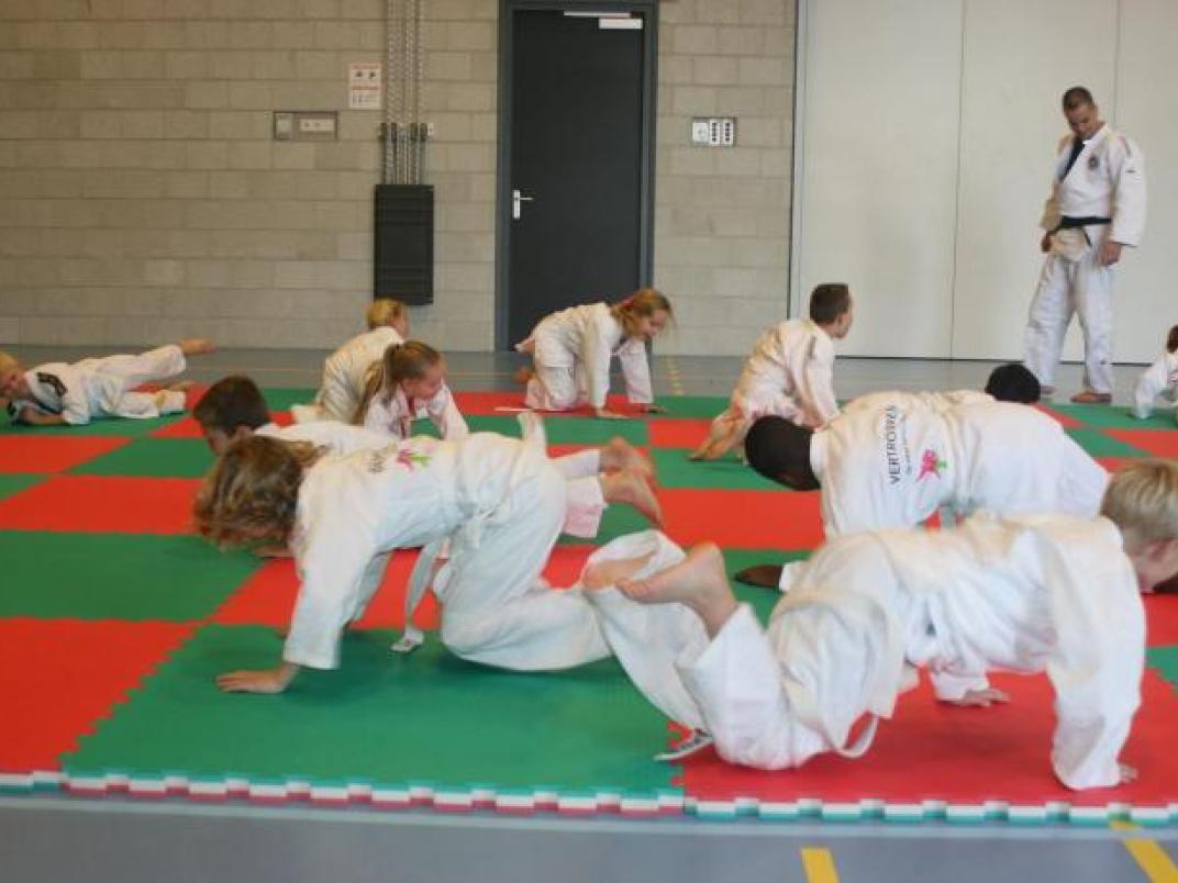 schooljudo 2